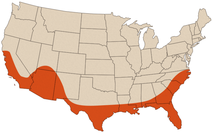 Termite Line Map TERMITES