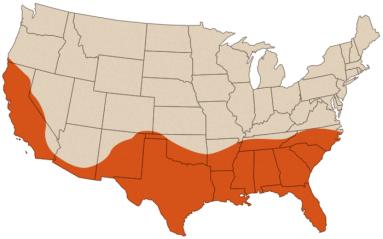 map-termite-formosan